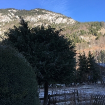 View of Mont Jorat from the Breakfast Terrace